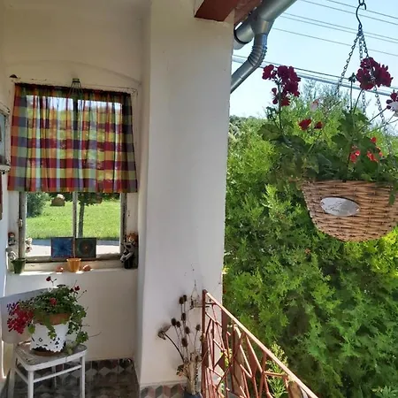 Apartment Pitypang Vendeghaz